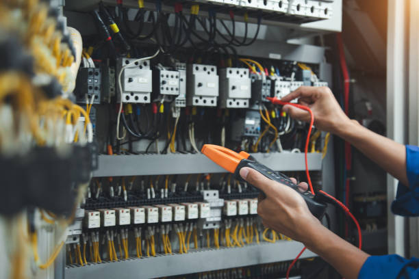 Best Electric Panel Repair  in Dundee, FL